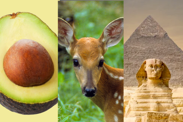 Many great categories